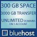 Bluehost rocks
