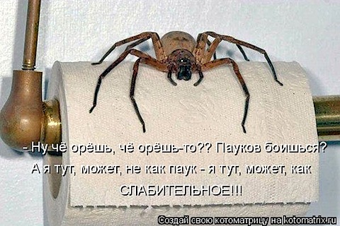 ApR.jpg