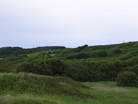 IMG_5539.JPG
