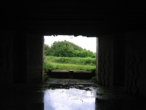 IMG_5543.JPG