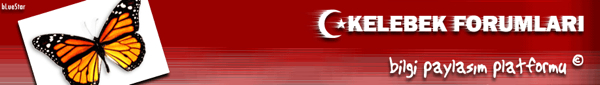  Banner4