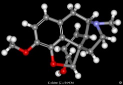  Pharms Codeine Images Archive Codeine 3D
