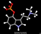  Plants Mushrooms Images Archive Psilocybin 3D
