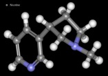  Plants Tobacco Images Archive Nicotine 3D