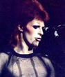 Ziggystardust